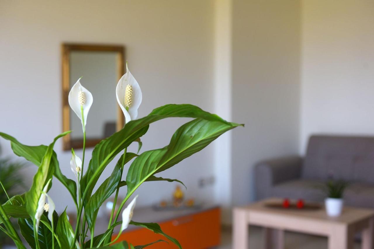 Stelia Luxury Apartments Kalavárda Extérieur photo